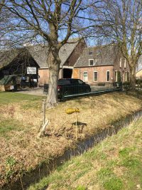 eendenkorf