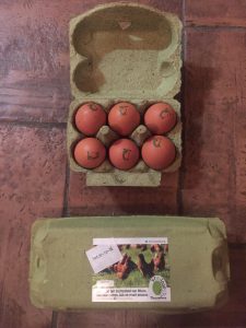 eierdozen van bermgras
