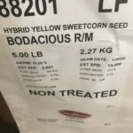 Bodacious